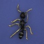 Broșă furnică neagră email, metal auriu 42×57 mm+