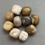 Piatră naturală decorativă – coral pietrificat, fragment decorativ ~ dimensiuni 21-25×17-22×17 mm (+/-) greutate 100 g (preț per 100 g)