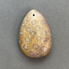 Pandantiv din coral fosilizat 39×27 mm+