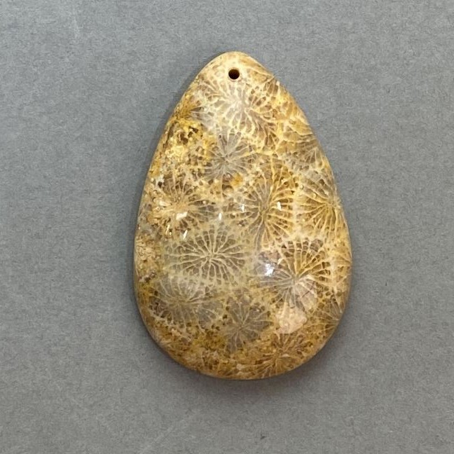 Pandantiv din coral fosil 45×29 mm+