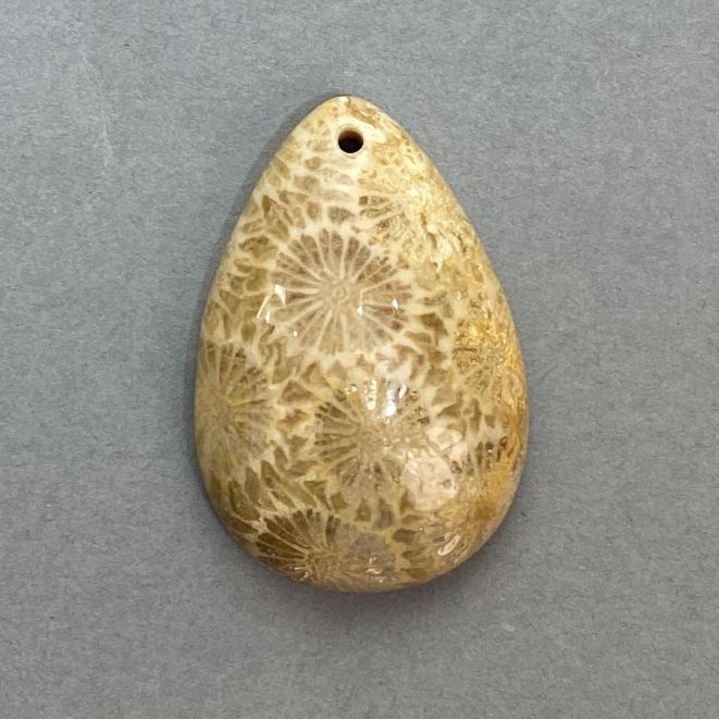 Pandantiv din coral fosilizat 36×24 mm+