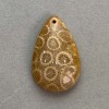 Pandantiv din coral fosilizat 37×23 mm+