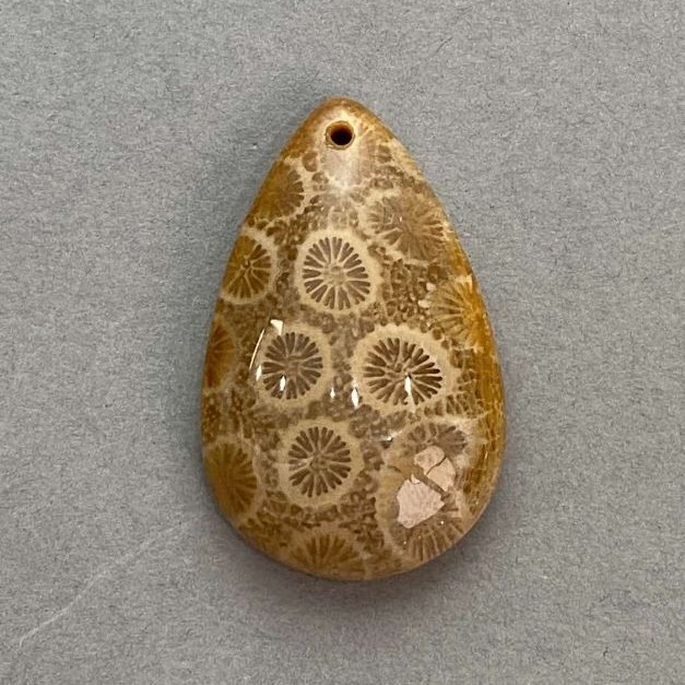 Pandantiv din coral fosilizat 37×23 mm+