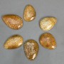 Pandantiv din coral fosilizat 45-55×35-40 mm +/- mărimi variate