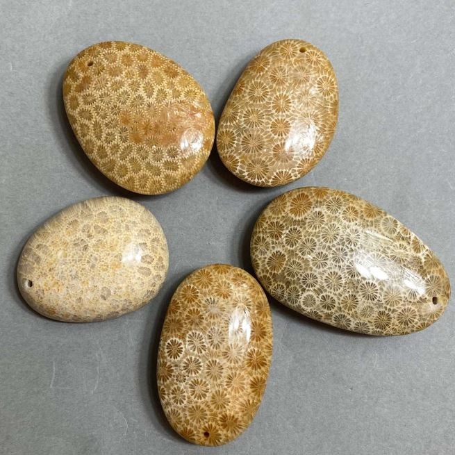 Pandantiv din coral fosilizat, 40-55×30-40 mm, variante de mărime