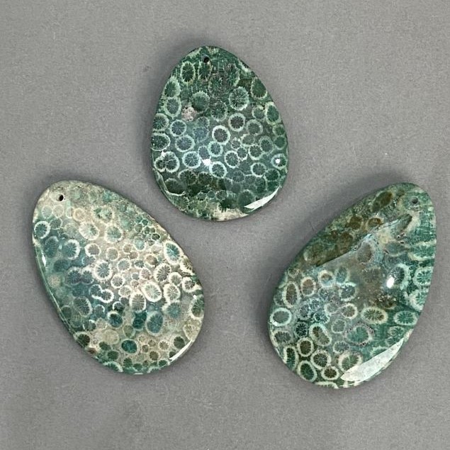 Pandantiv din coral fosilizat 50-65×40 mm +/- sortiment de dimensiuni