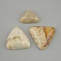 Cabochon Coral fosilizat 25-43×24-36 mm ± (dimensiuni asortate)