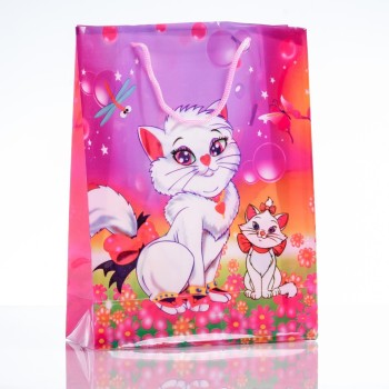 Pungă cadou 24×18 cm (din PE)