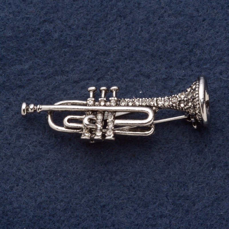 Broșă «Tubă» 5x1,5 cm, strasuri, metal gri