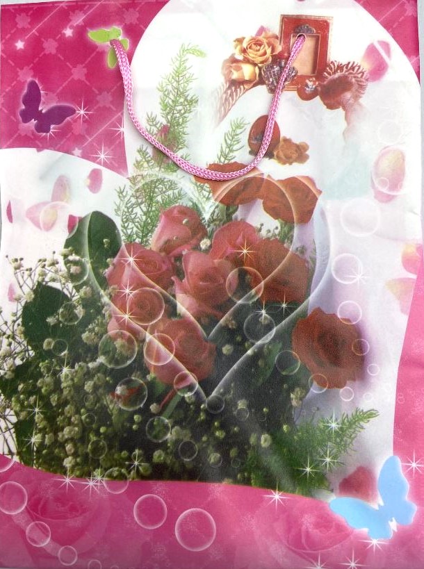 Pungă cadou 24×18 cm (material PE)