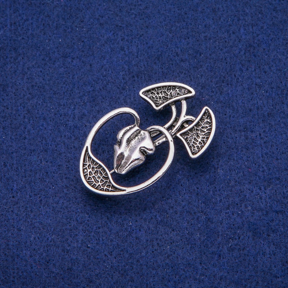 Брошка Анатомія 28х45мм, сріблястий метал